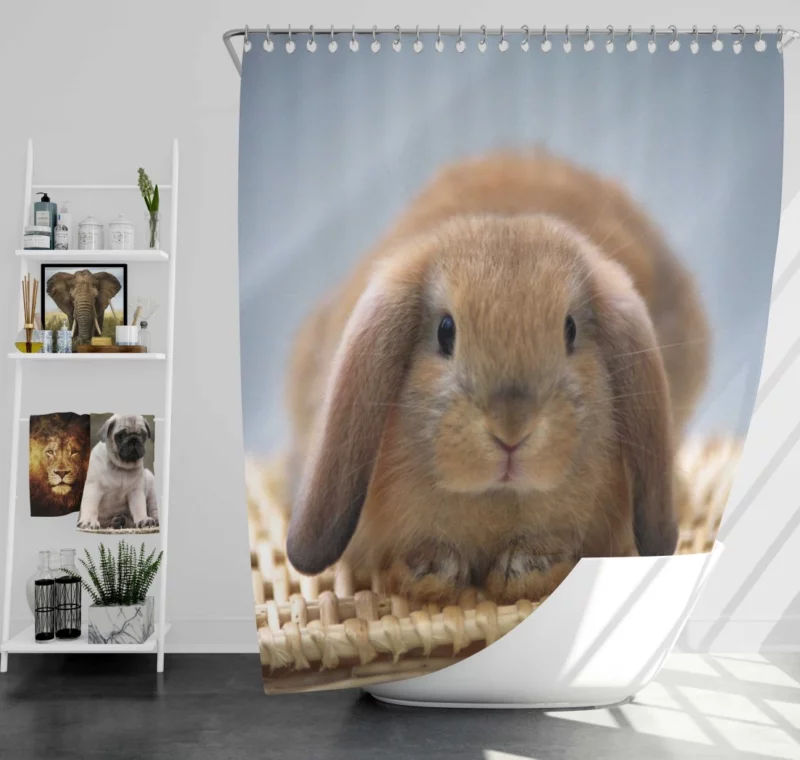 Whisker Wonders Rabbit Innocence Shower Curtain