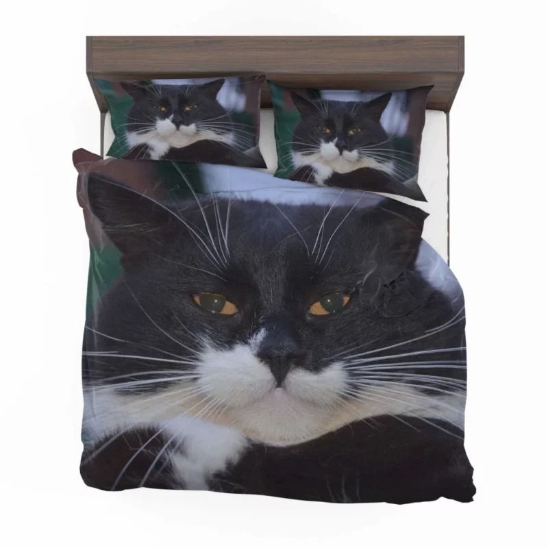 Whiskered Wonder Feline Curiosity Bedding Set 1