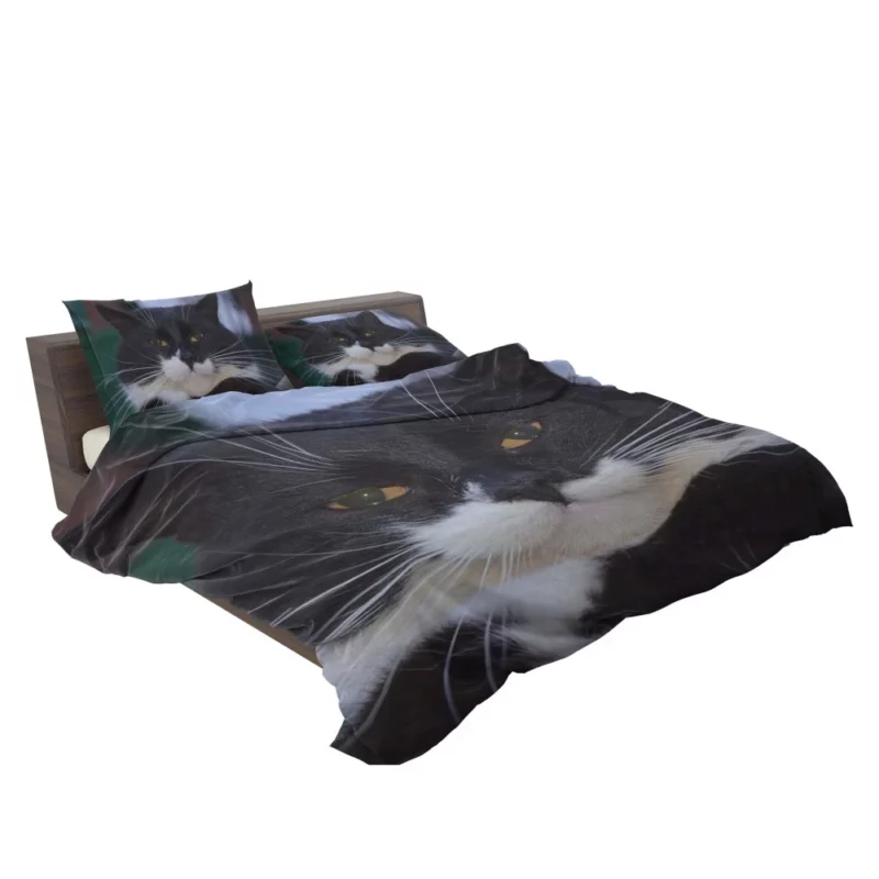 Whiskered Wonder Feline Curiosity Bedding Set 2