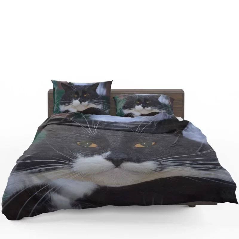 Whiskered Wonder Feline Curiosity Bedding Set