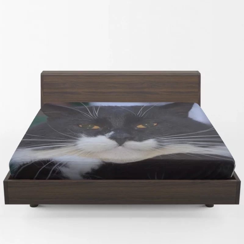 Whiskered Wonder Feline Curiosity Fitted Sheet