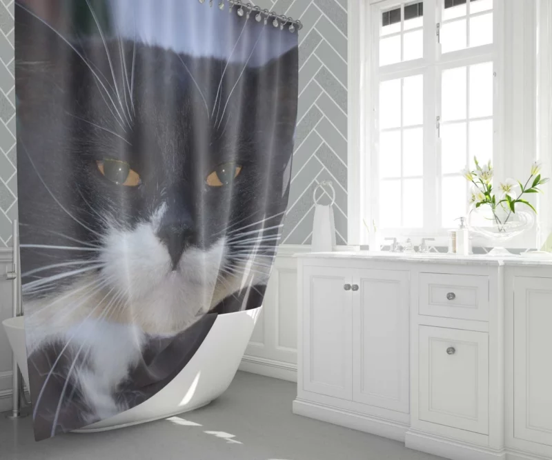 Whiskered Wonder Feline Curiosity Shower Curtain 1