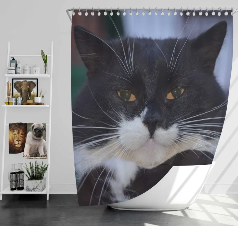 Whiskered Wonder Feline Curiosity Shower Curtain