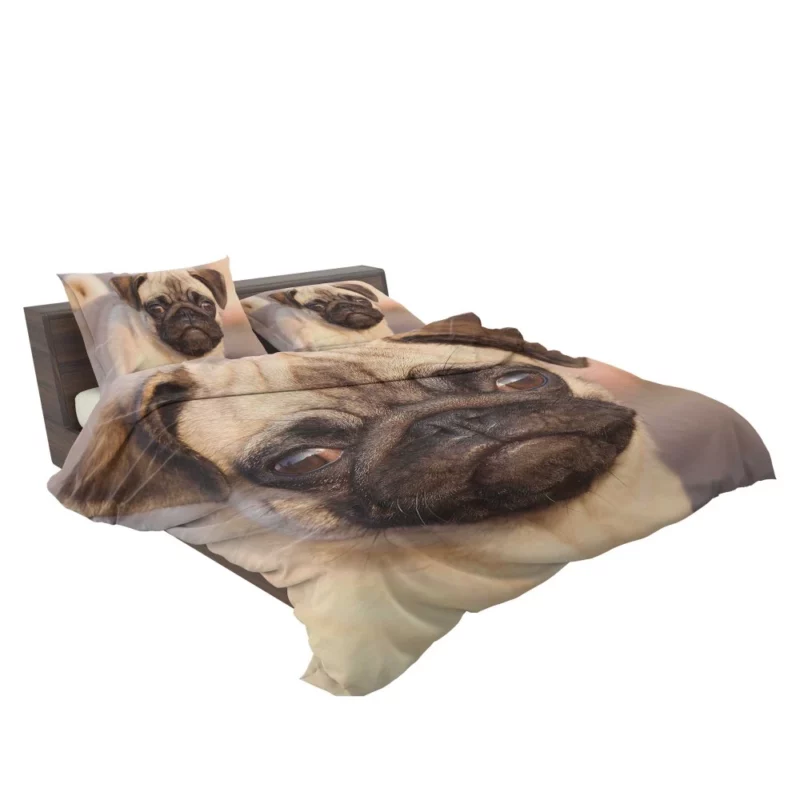 Whiskered Wonder Feline Elegance Bedding Set 2