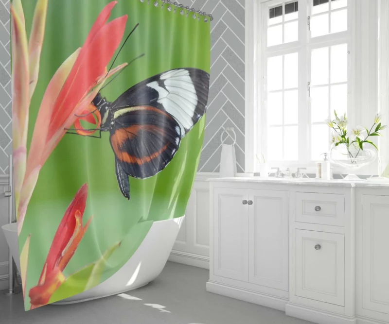 Whiskered Wonders Curious Cat Playfulness Shower Curtain 1