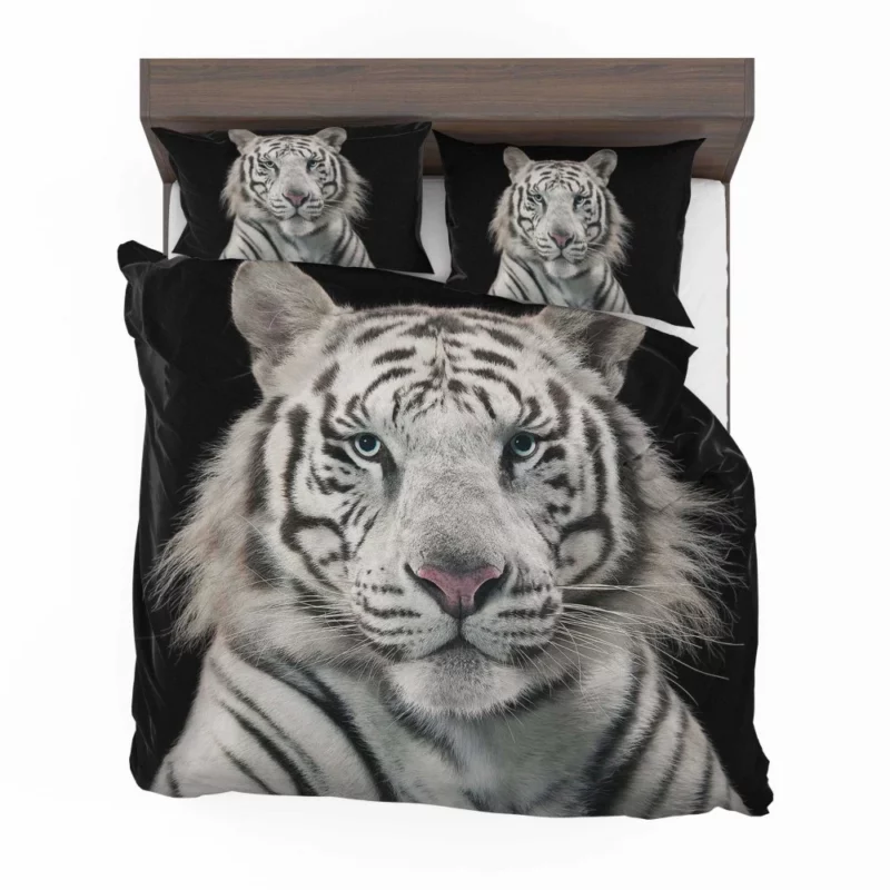 White Bengal Tiger Elegance in Albino Bedding Set 1