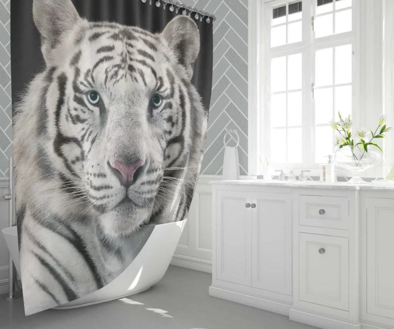 White Bengal Tiger Elegance in Albino Shower Curtain 1