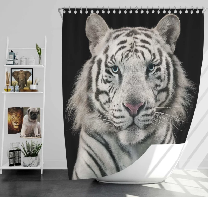 White Bengal Tiger Elegance in Albino Shower Curtain