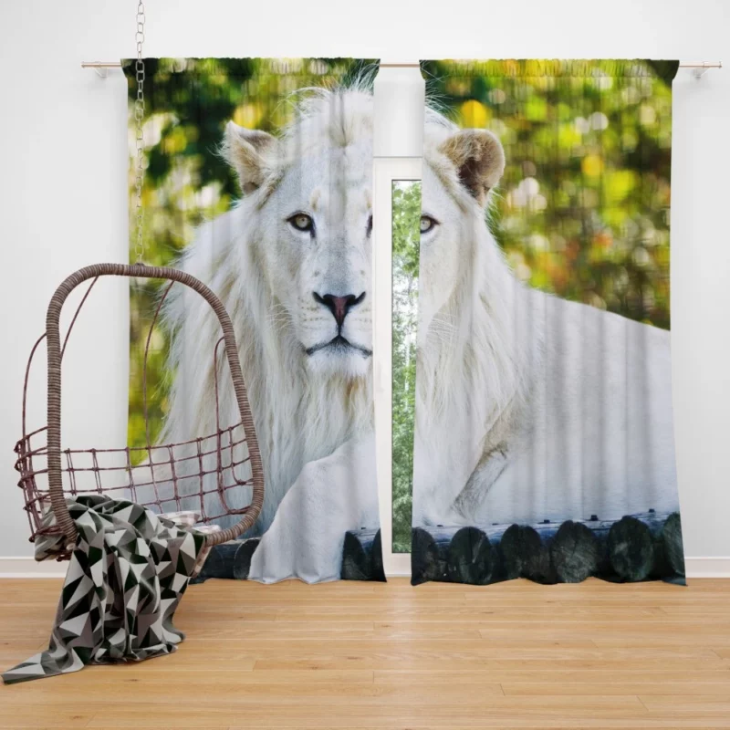 White Lion Majestic Gaze Ethereal Aura Curtain