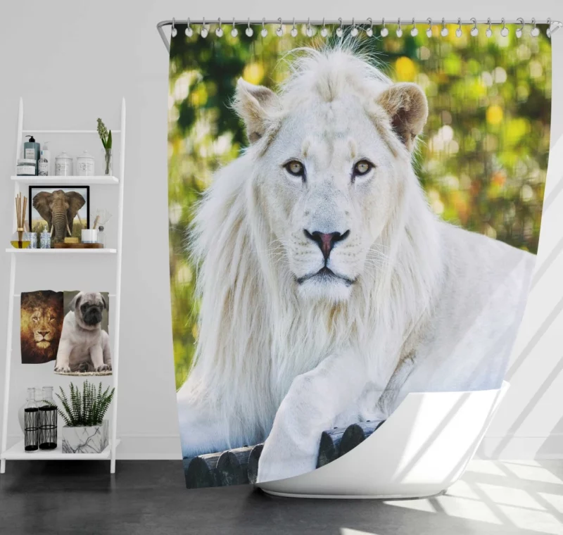 White Lion Majestic Gaze Ethereal Aura Shower Curtain