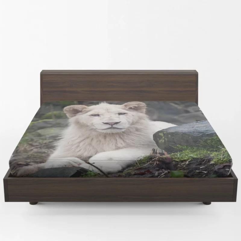 White Lion Majesty Regal Beauty Fitted Sheet