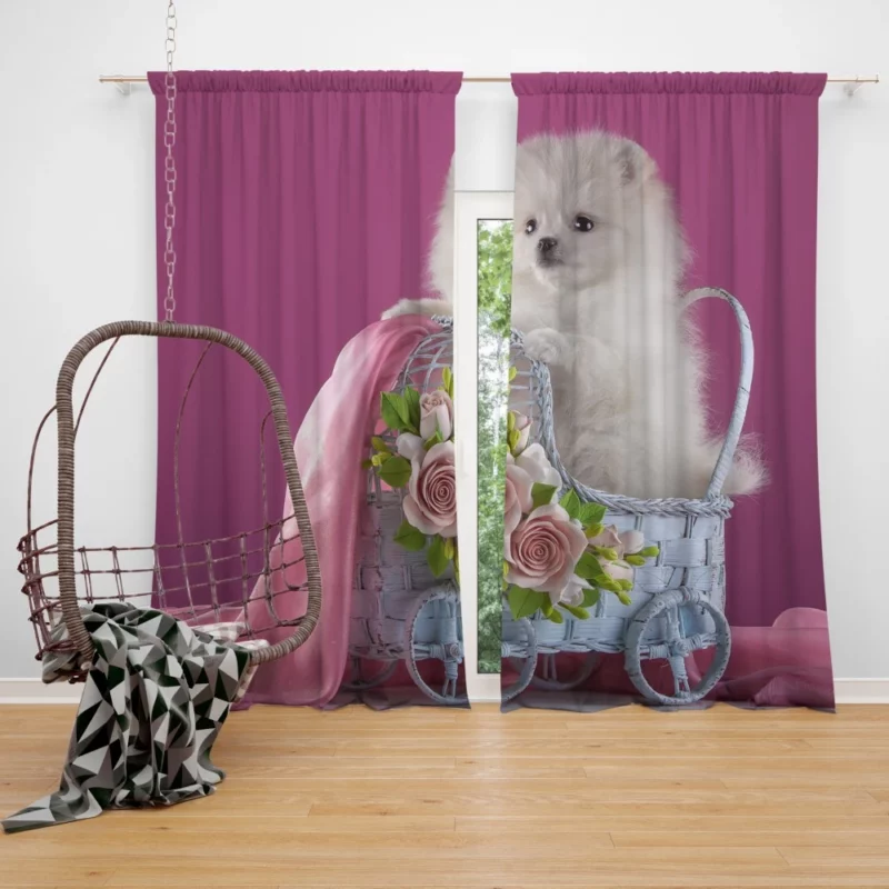 White Pomeranian Rose Fantasy Delicate Grace Curtain