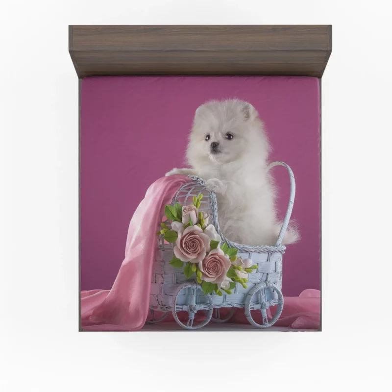 White Pomeranian Rose Fantasy Delicate Grace Fitted Sheet 1