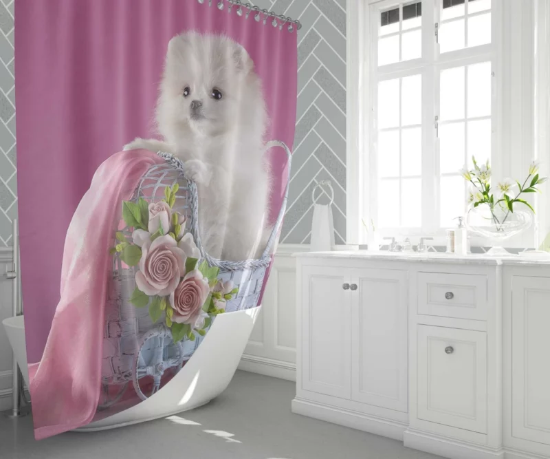 White Pomeranian Rose Fantasy Delicate Grace Shower Curtain 1