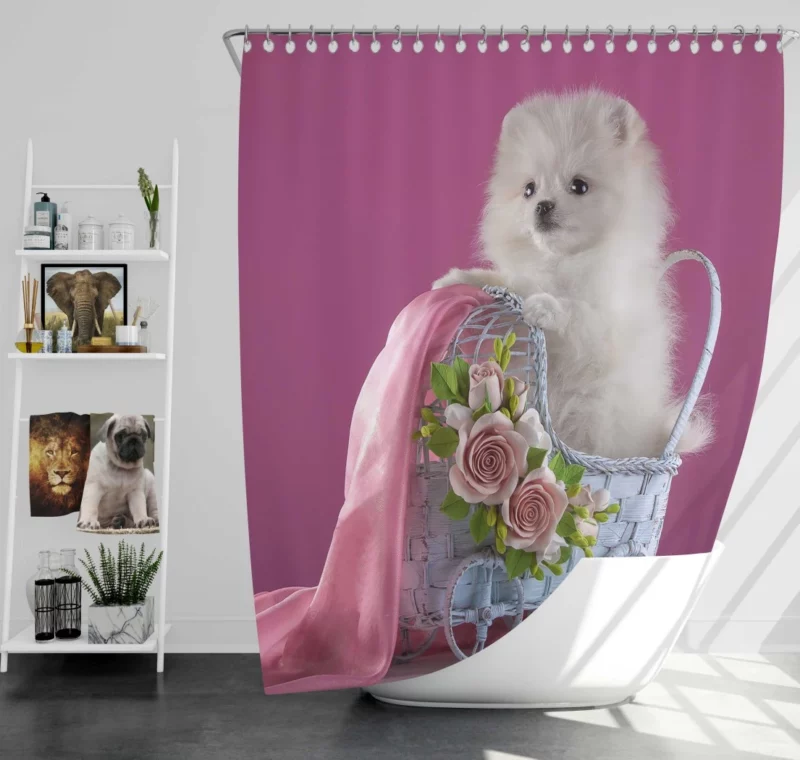 White Pomeranian Rose Fantasy Delicate Grace Shower Curtain