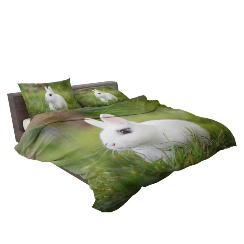 White Rabbit Amidst Grass Blur Bedding Set 2