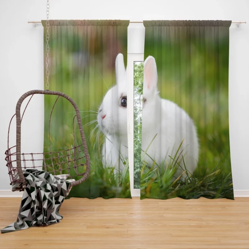 White Rabbit Amidst Grass Blur Curtain