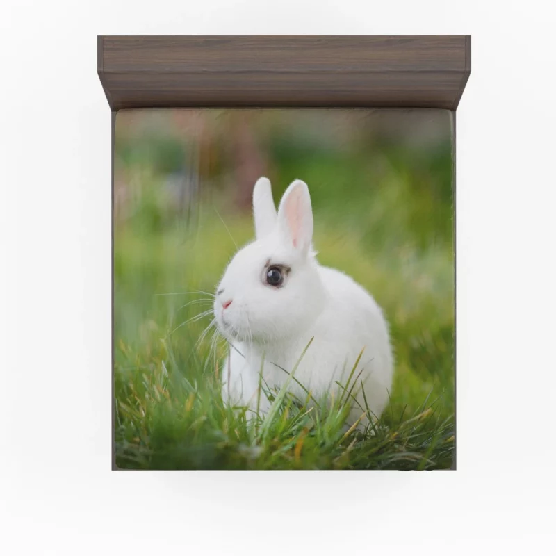 White Rabbit Amidst Grass Blur Fitted Sheet 1