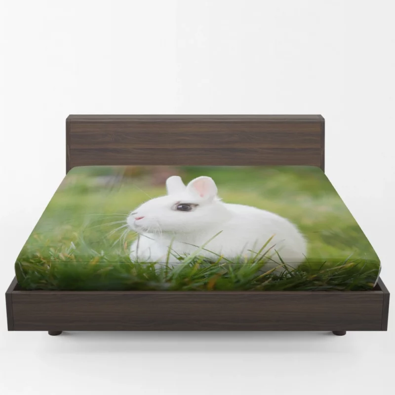 White Rabbit Amidst Grass Blur Fitted Sheet