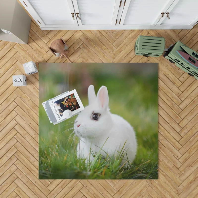 White Rabbit Amidst Grass Blur Rug