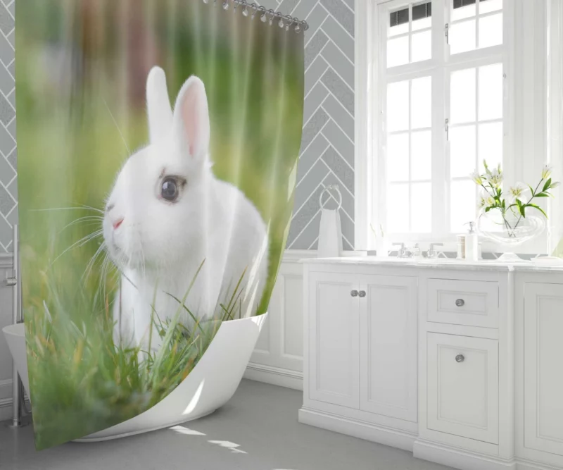 White Rabbit Amidst Grass Blur Shower Curtain 1