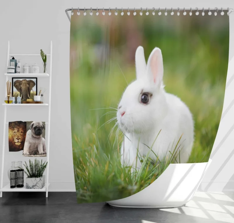 White Rabbit Amidst Grass Blur Shower Curtain