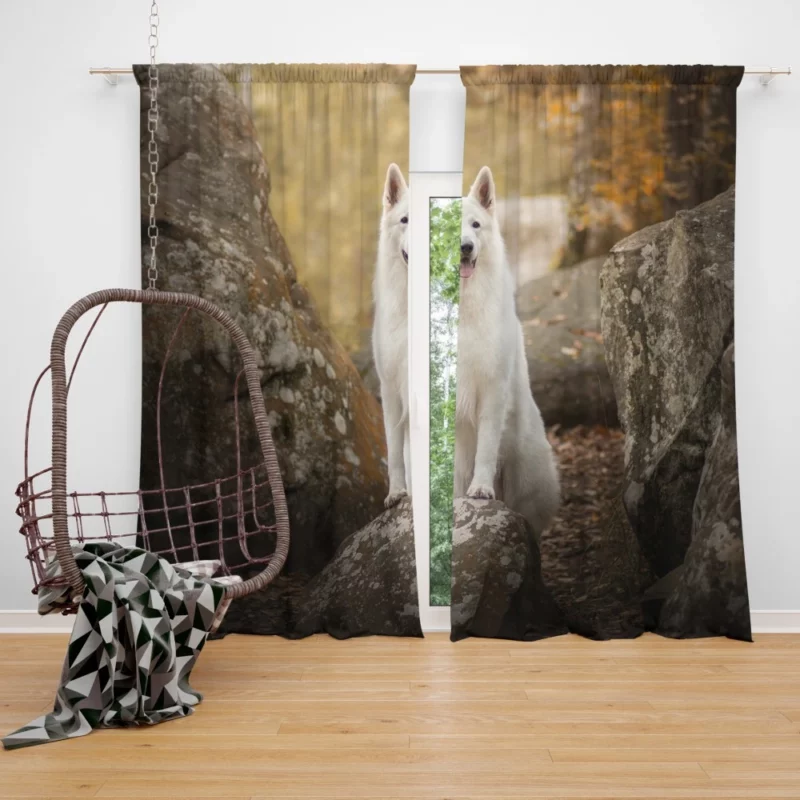 White Shepherd Depth of Field Elegance Curtain