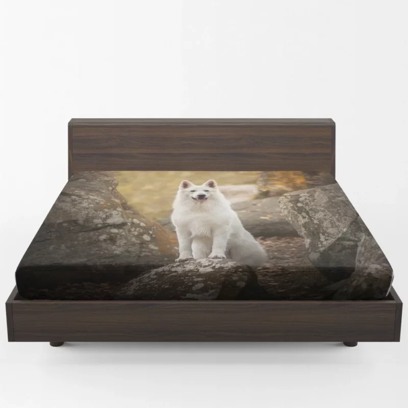 White Shepherd Depth of Field Elegance Fitted Sheet