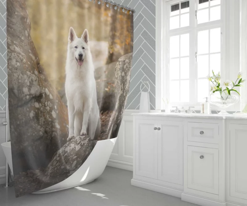 White Shepherd Depth of Field Elegance Shower Curtain 1