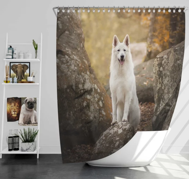 White Shepherd Depth of Field Elegance Shower Curtain