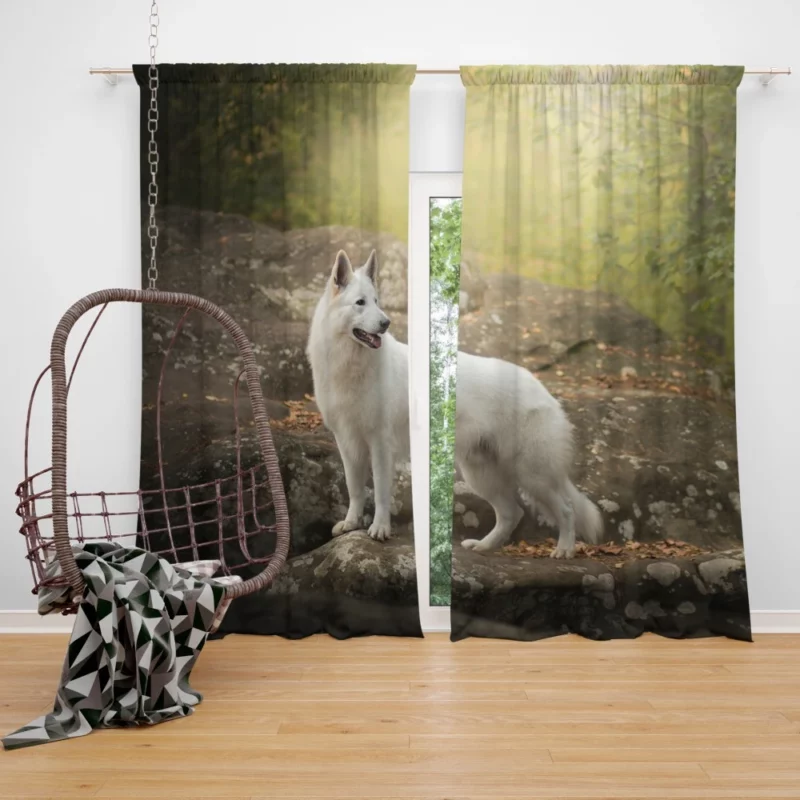 White Shepherd Enigmatic Persona Curtain