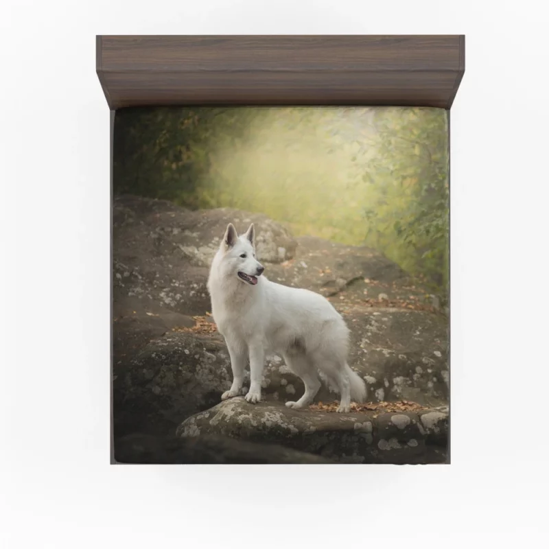 White Shepherd Enigmatic Persona Fitted Sheet 1