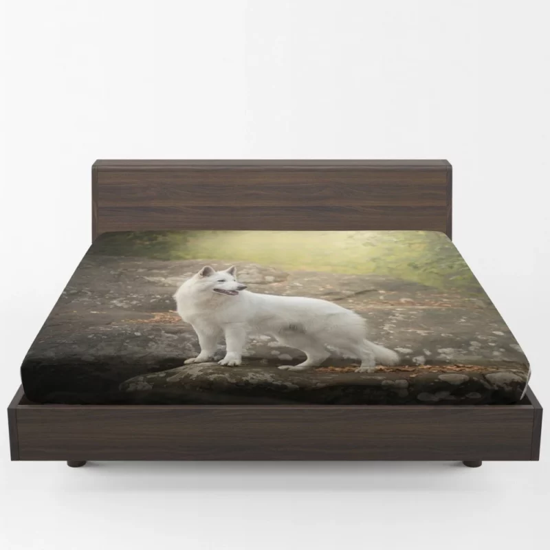 White Shepherd Enigmatic Persona Fitted Sheet