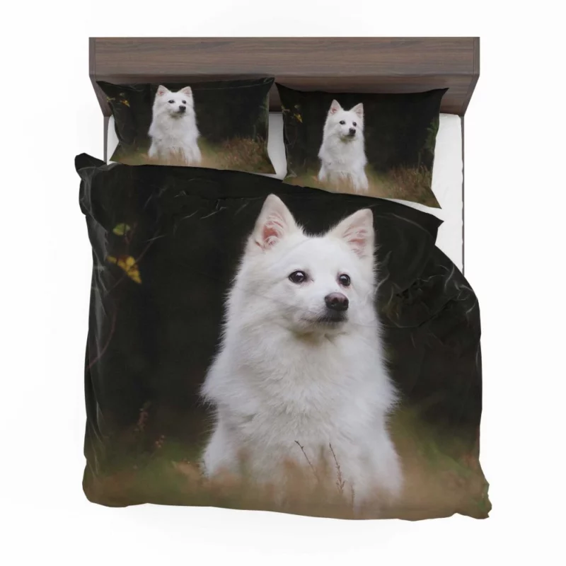 White Shepherd & Eskimo Play Canine Joy Bedding Set 1