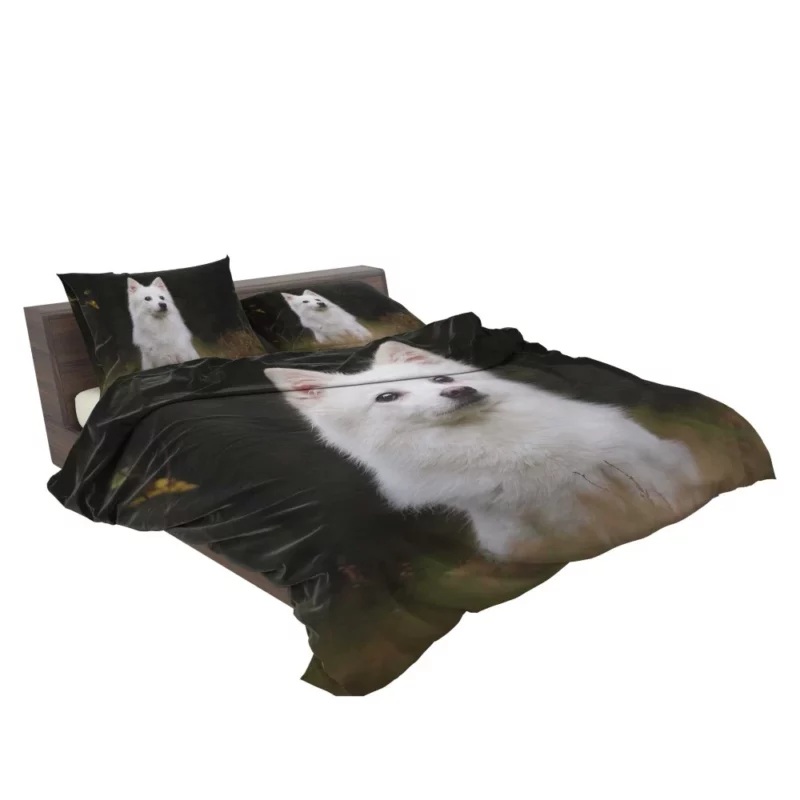 White Shepherd & Eskimo Play Canine Joy Bedding Set 2