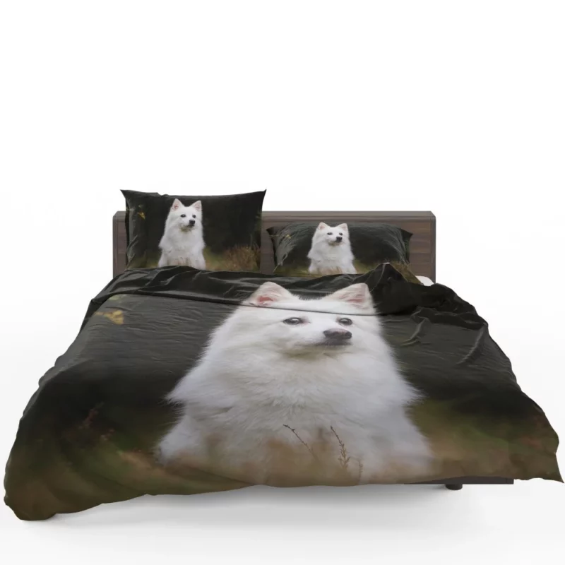 White Shepherd & Eskimo Play Canine Joy Bedding Set