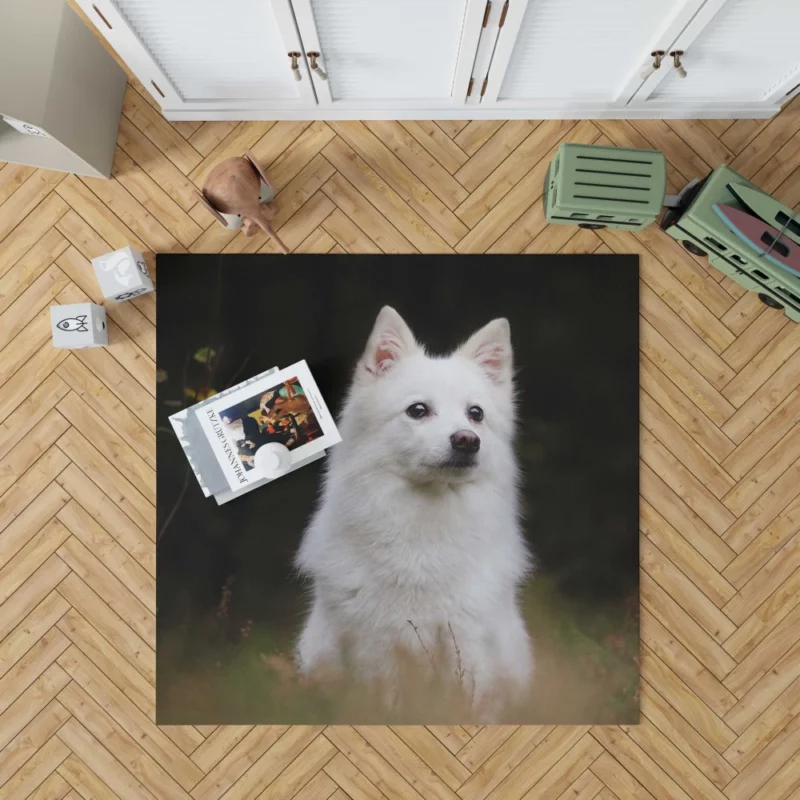 White Shepherd & Eskimo Play Canine Joy Rug