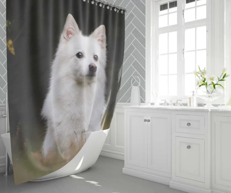 White Shepherd & Eskimo Play Canine Joy Shower Curtain 1