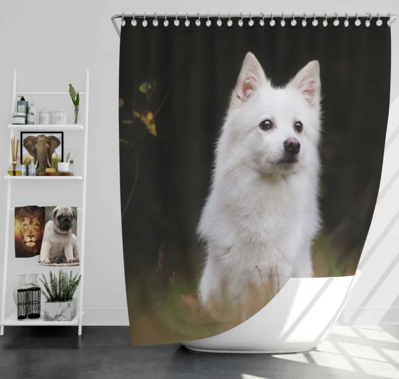 White Shepherd & Eskimo Play Canine Joy Shower Curtain