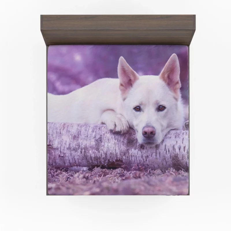 White Shepherd Noble Presence Fitted Sheet 1