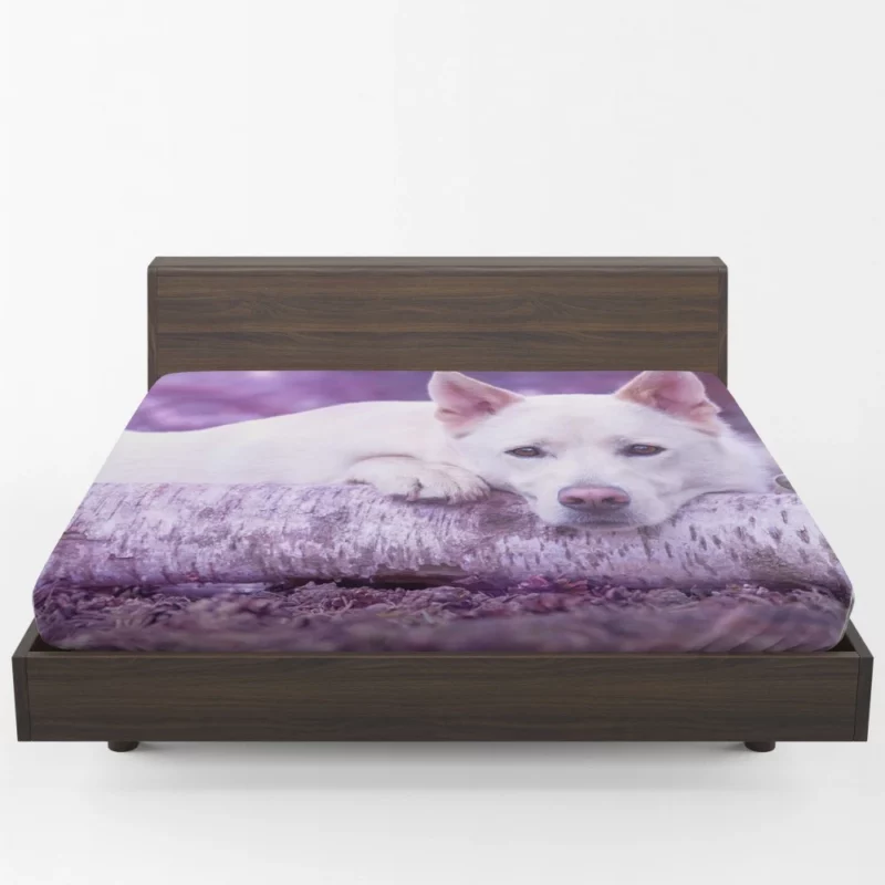 White Shepherd Noble Presence Fitted Sheet