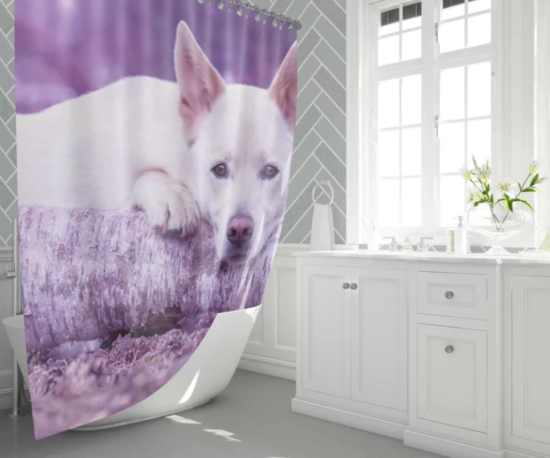 White Shepherd Noble Presence Shower Curtain 1