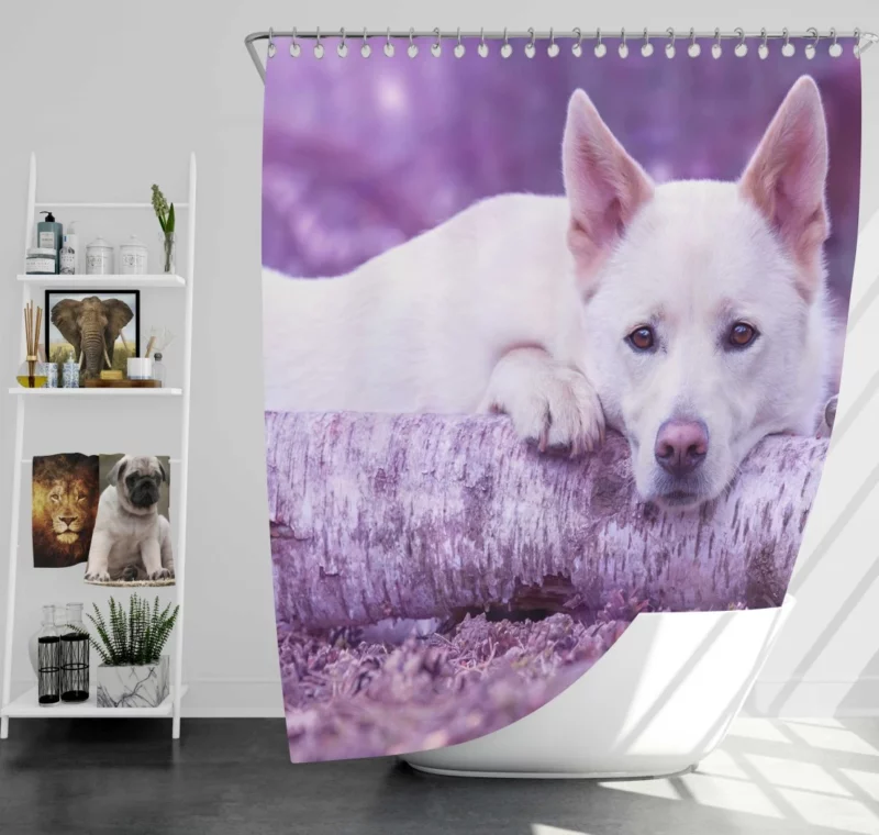 White Shepherd Noble Presence Shower Curtain