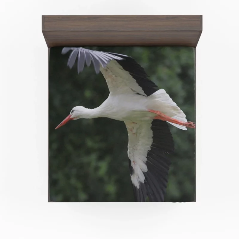 White Stork Airborne Elegance Aerial Majesty Fitted Sheet 1