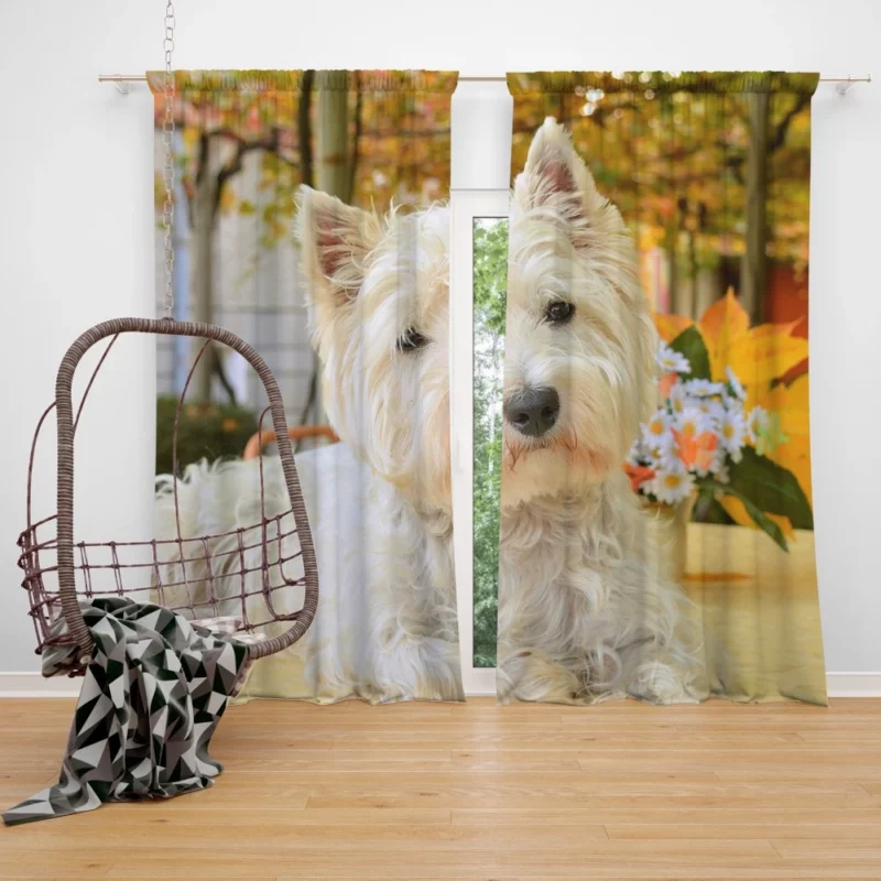 White Terrier Cute Playfulness Curtain