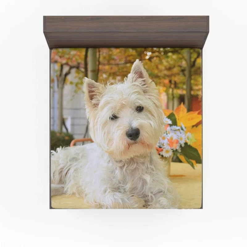 White Terrier Cute Playfulness Fitted Sheet 1