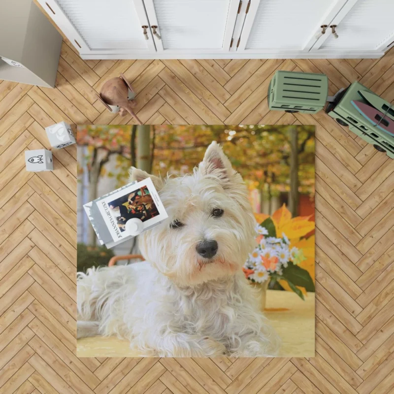 White Terrier Cute Playfulness Rug