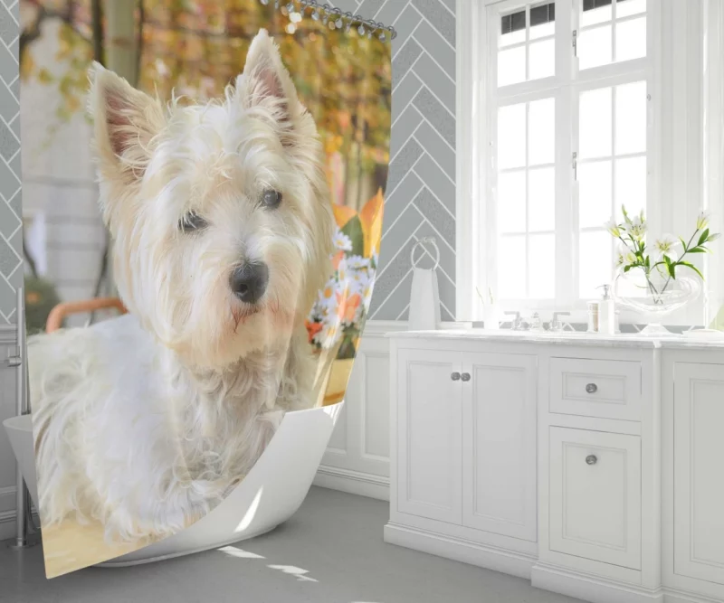 White Terrier Cute Playfulness Shower Curtain 1