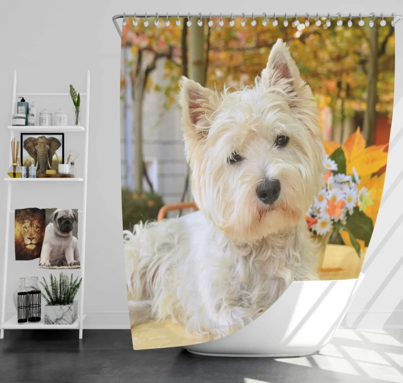 White Terrier Cute Playfulness Shower Curtain