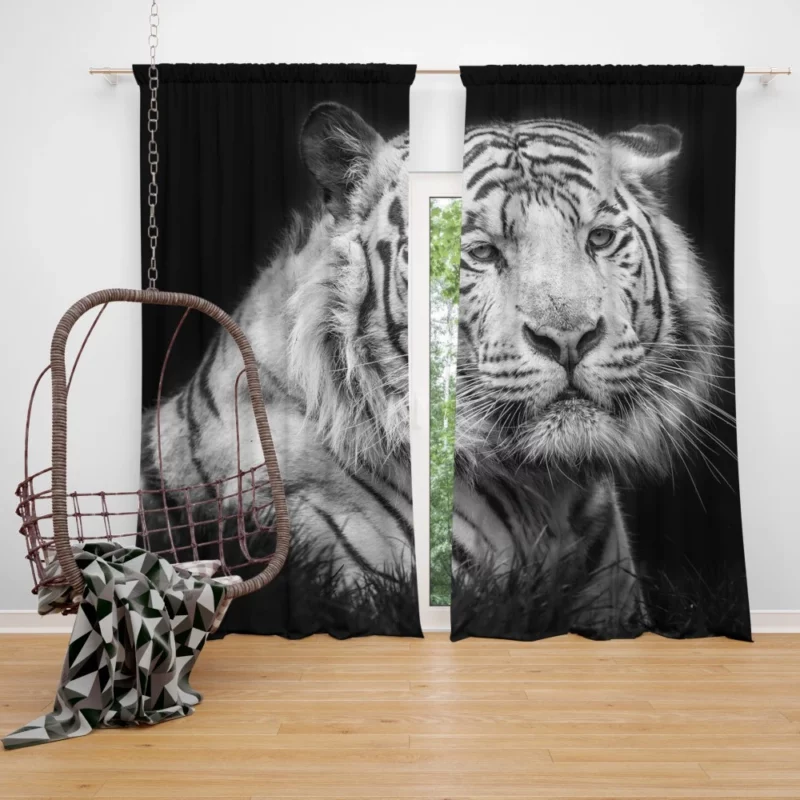 White Tiger Black & White Beauty Curtain